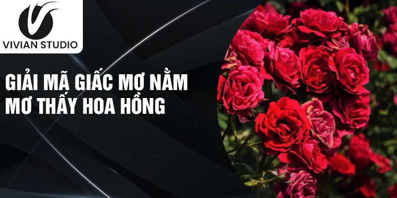 Giải mã giấc mơ nằm mơ thấy hoa hồng