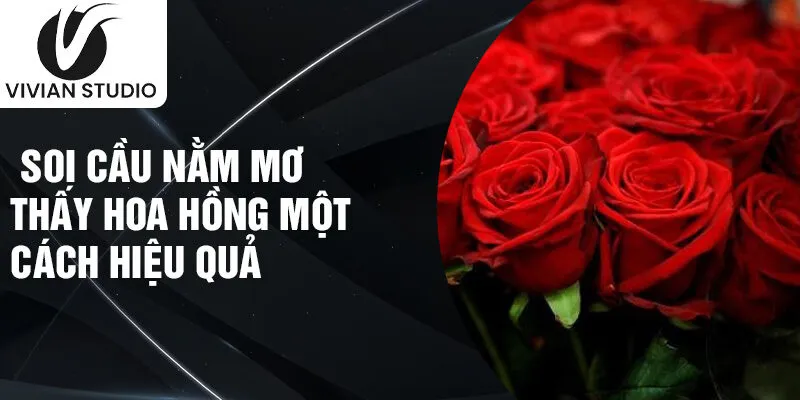 Soi cầu nằm mơ thấy hoa hồng một cách hiệu quả