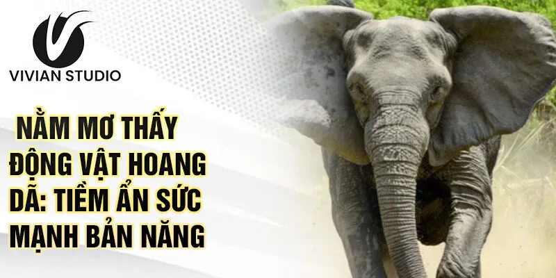 Nằm mơ thấy động vật hoang dã: tiềm ẩn sức mạnh bản năng