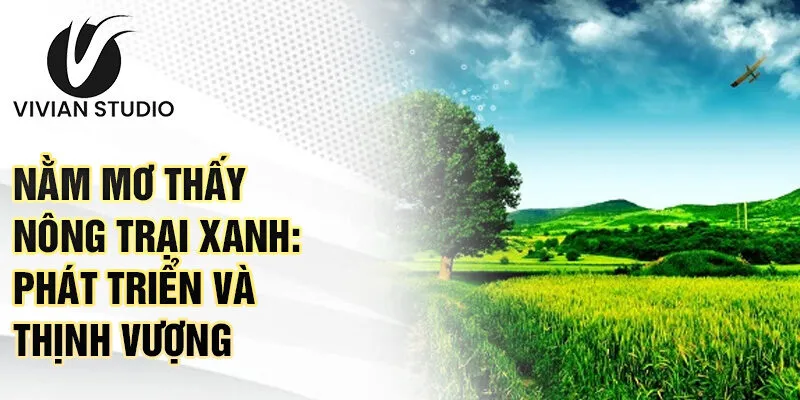 Nằm mơ thấy nông trại xanh: phát triển và thịnh vượng