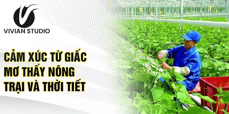 Cảm xúc từ giấc mơ thấy nông trại và thời tiết